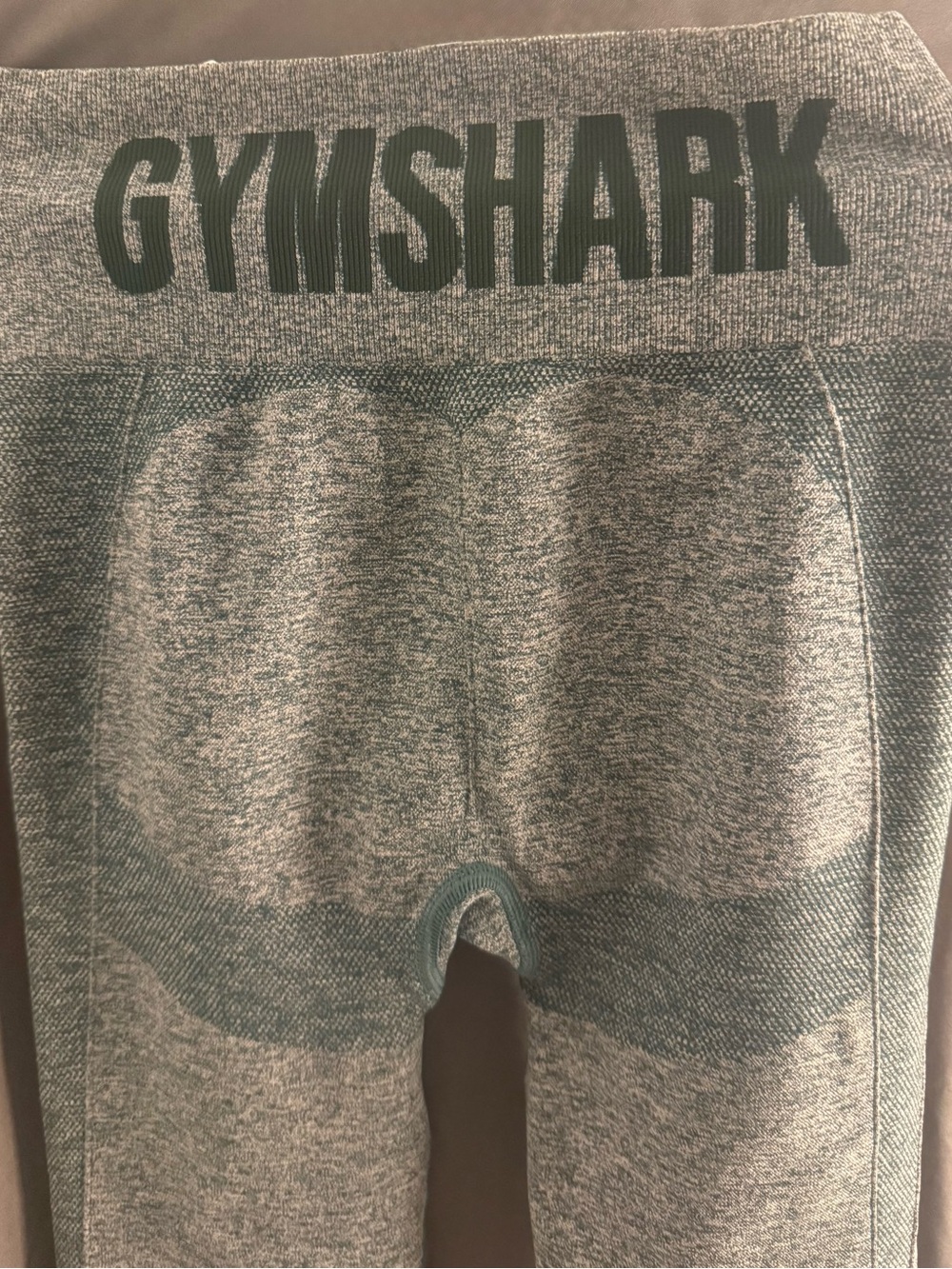 Gymshark Teal and Gray Seamless Sculpting Leggings